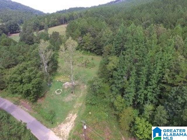 1980 Dripping Rock Road, Unit 20 50 AC Piedmont, AL 36272 - Photo 1 of 19