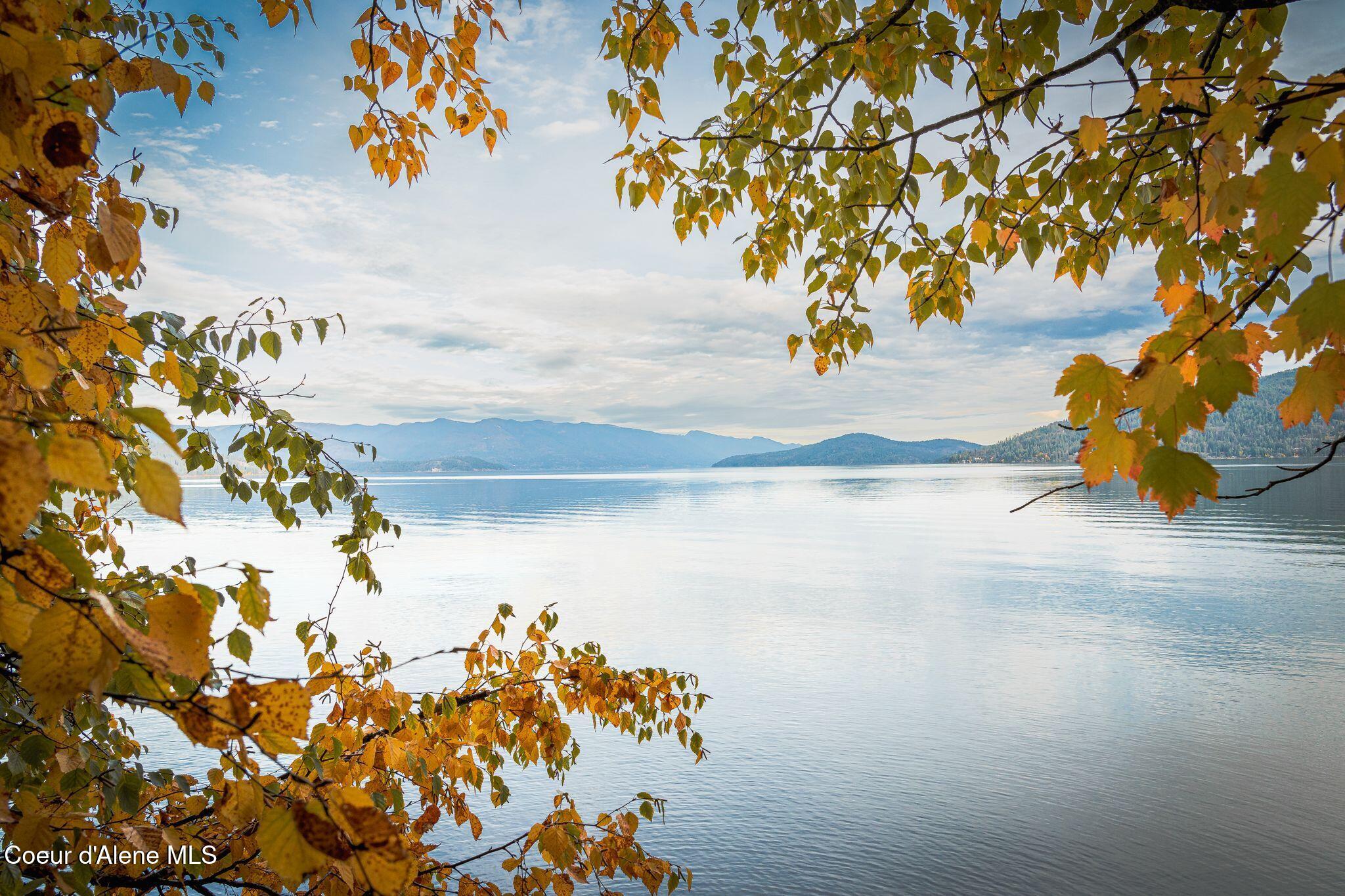 802 Sandpoint Avenue, Unit 8104 Sandpoint, ID 83864 - Photo 59 of 80 25_Baytrailstock-4