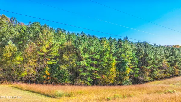 $94,000 | 4.99-acres Juniper Court, Spring City, TN 37381