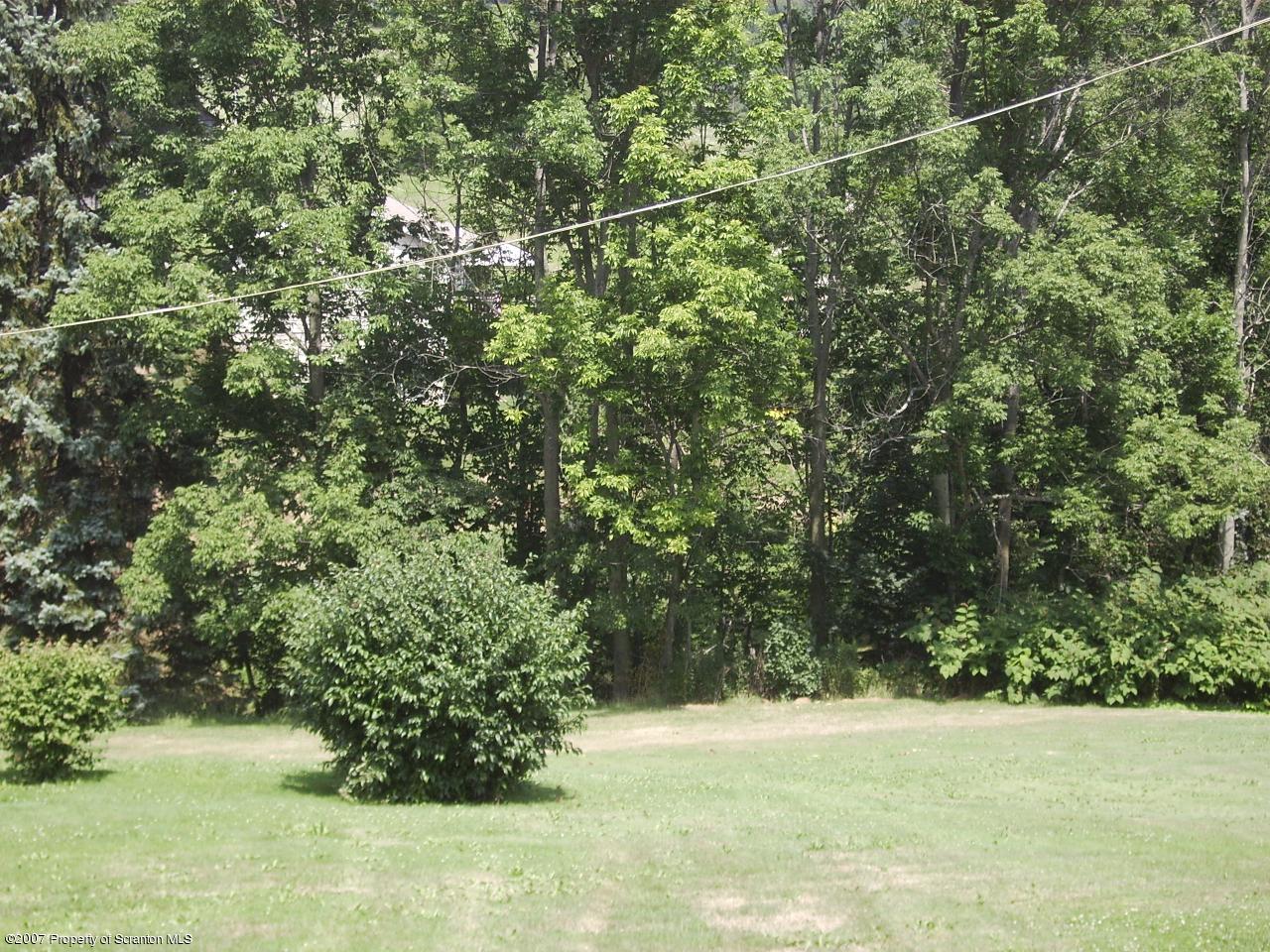 2 Falls Road Factoryville, PA 18419 - Photo 4 of 4 a view of a yard with a tree