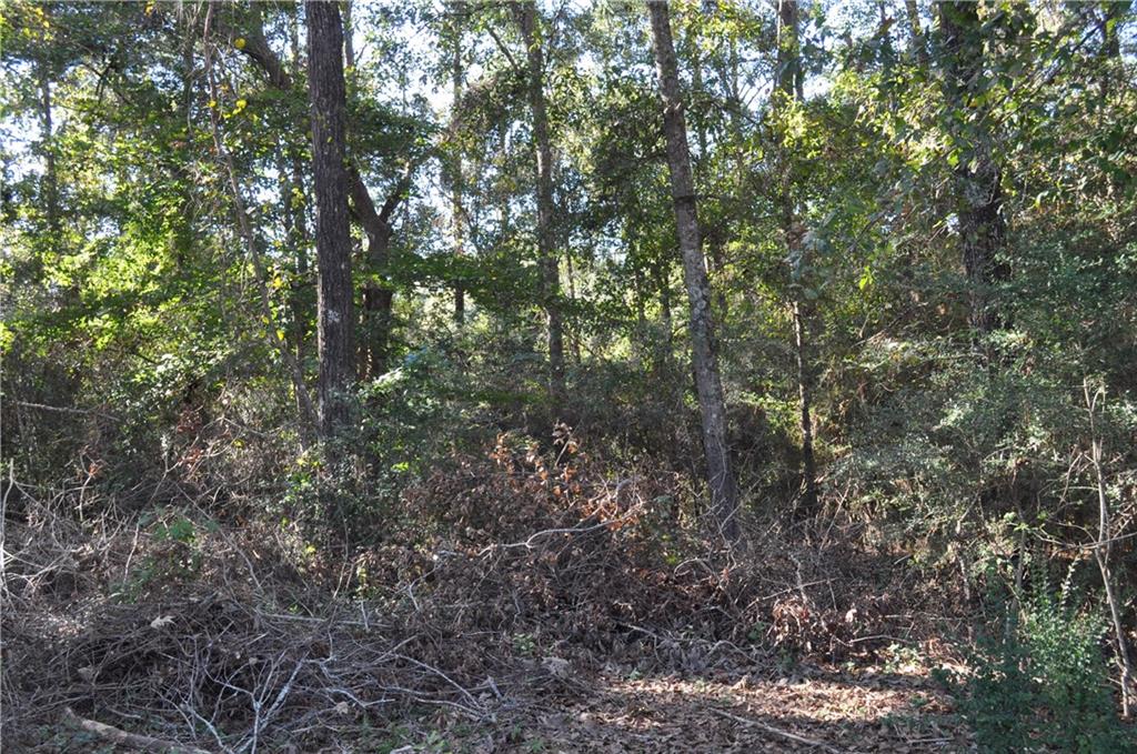 Lot 1 Stein Road Bogalusa, LA 70427 - Photo 1 of 3 Gallery Image 1