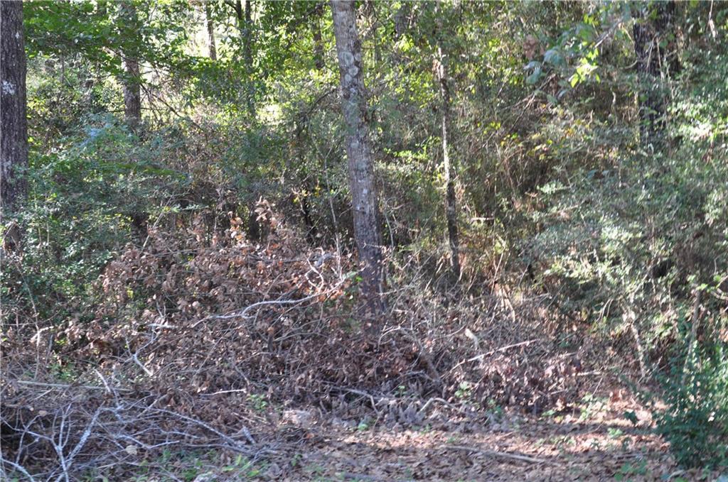 Lot 1 Stein Road Bogalusa, LA 70427 - Photo 2 of 3 Gallery Image 2