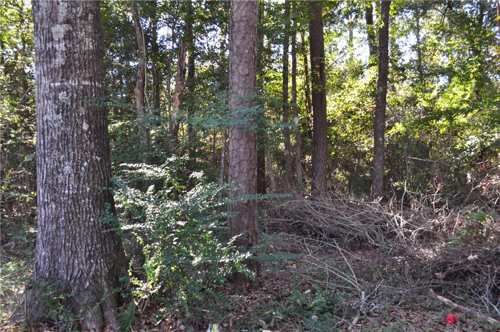 Lot 1 Stein Road Bogalusa, LA 70427 - Photo 3 of 3 Gallery Image 3