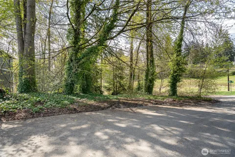 a view of a forest filled with trees