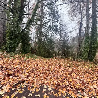 a outdoor space with lots of trees
