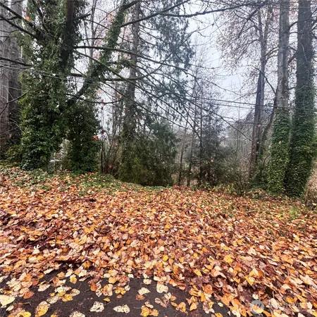 a outdoor space with lots of trees