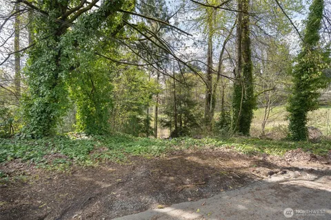 a view of a garden with plants and trees