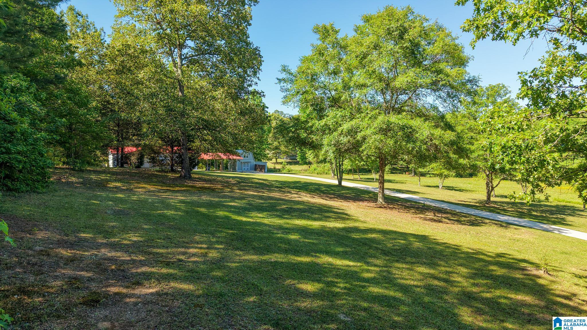 242 Deerfield Road Pell City, AL 35125 - Photo 38 of 41