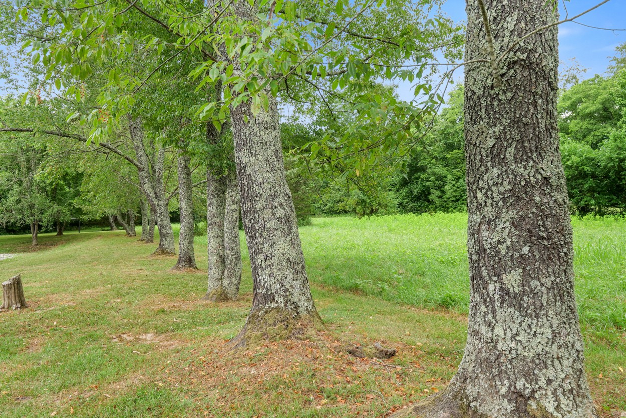 200 Green Road Franklin, TN 37069 - Photo 3 of 10 Gallery Image 3