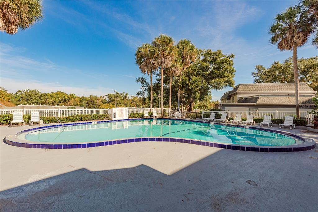 1381 McMullen Booth Road, Unit 1381 Clearwater, FL 33759 - Photo 33 of 36 a view of swimming pool and outdoor space