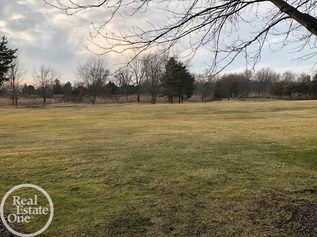 51665 Baker Road New Baltimore, MI 48047 - Photo 13 of 92 50032338-12.JPG