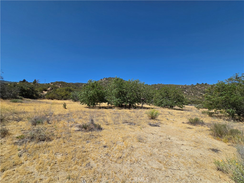 37210 Bohlen Road Anza, CA 92539 - Photo 3 of 22