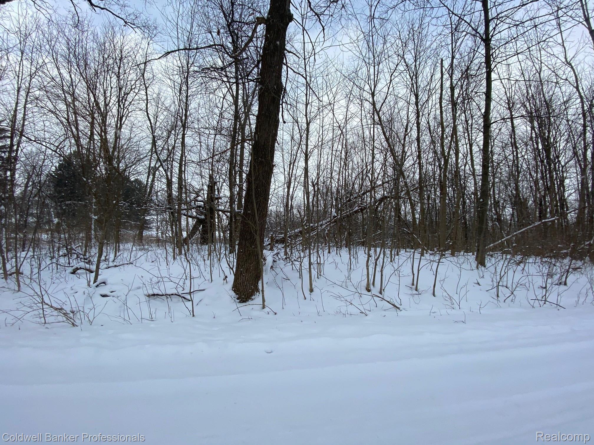 0 Colby Lake Road Haslett, MI 48840 - Photo 4 of 7 4 Colby Lake.jpg