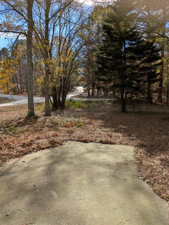 778 Poseyville Road Bremen, GA 30110 - Photo 9 of 27 a view of a yard with trees