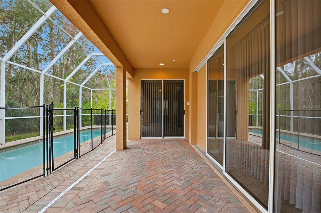 3454 Loggerhead Way Wesley Chapel, FL 33544 - Photo 53 of 58