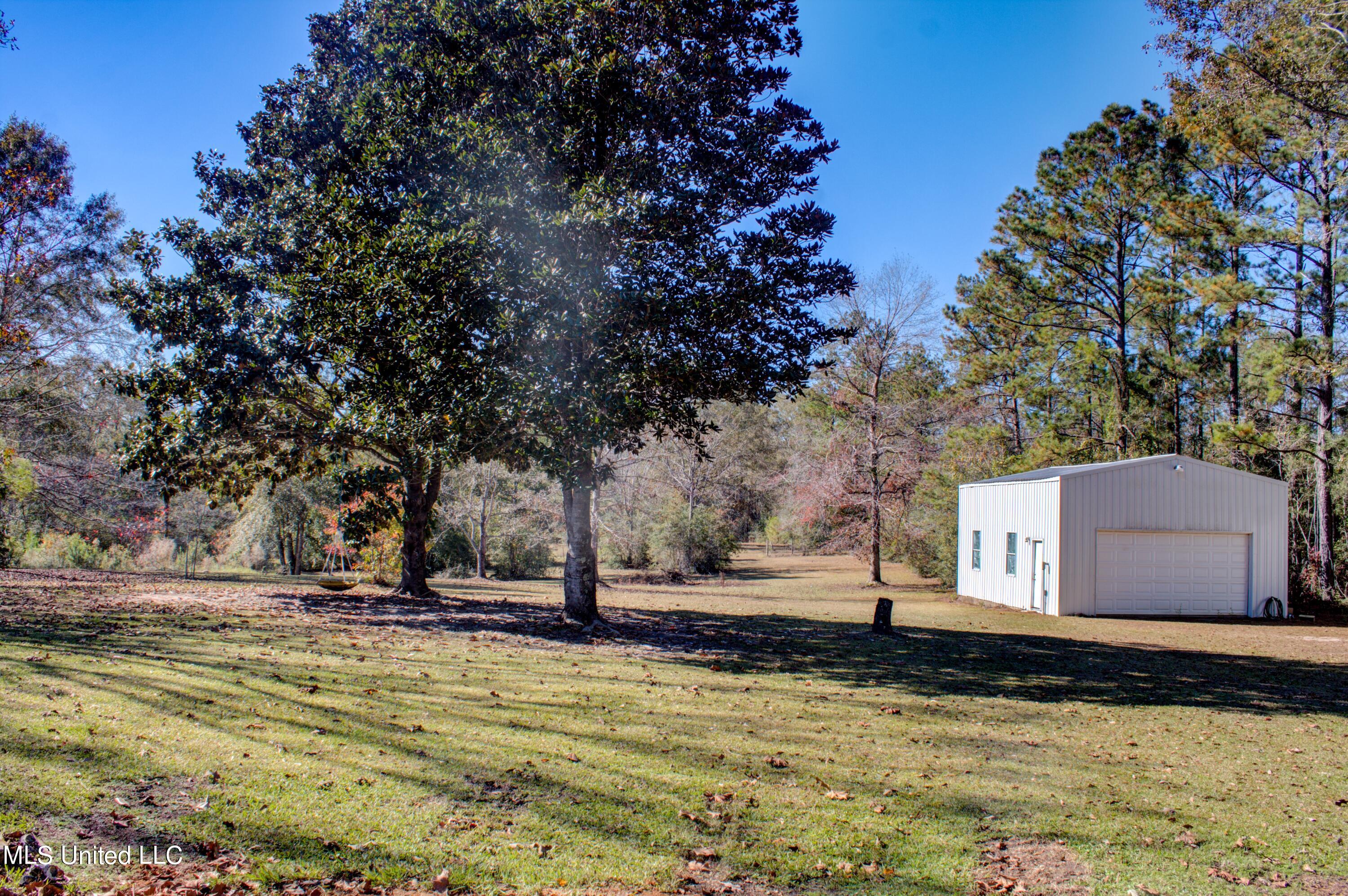 263 Desoto Road McHenry, MS 39561 - Photo 23 of 23 Backyard and Shed