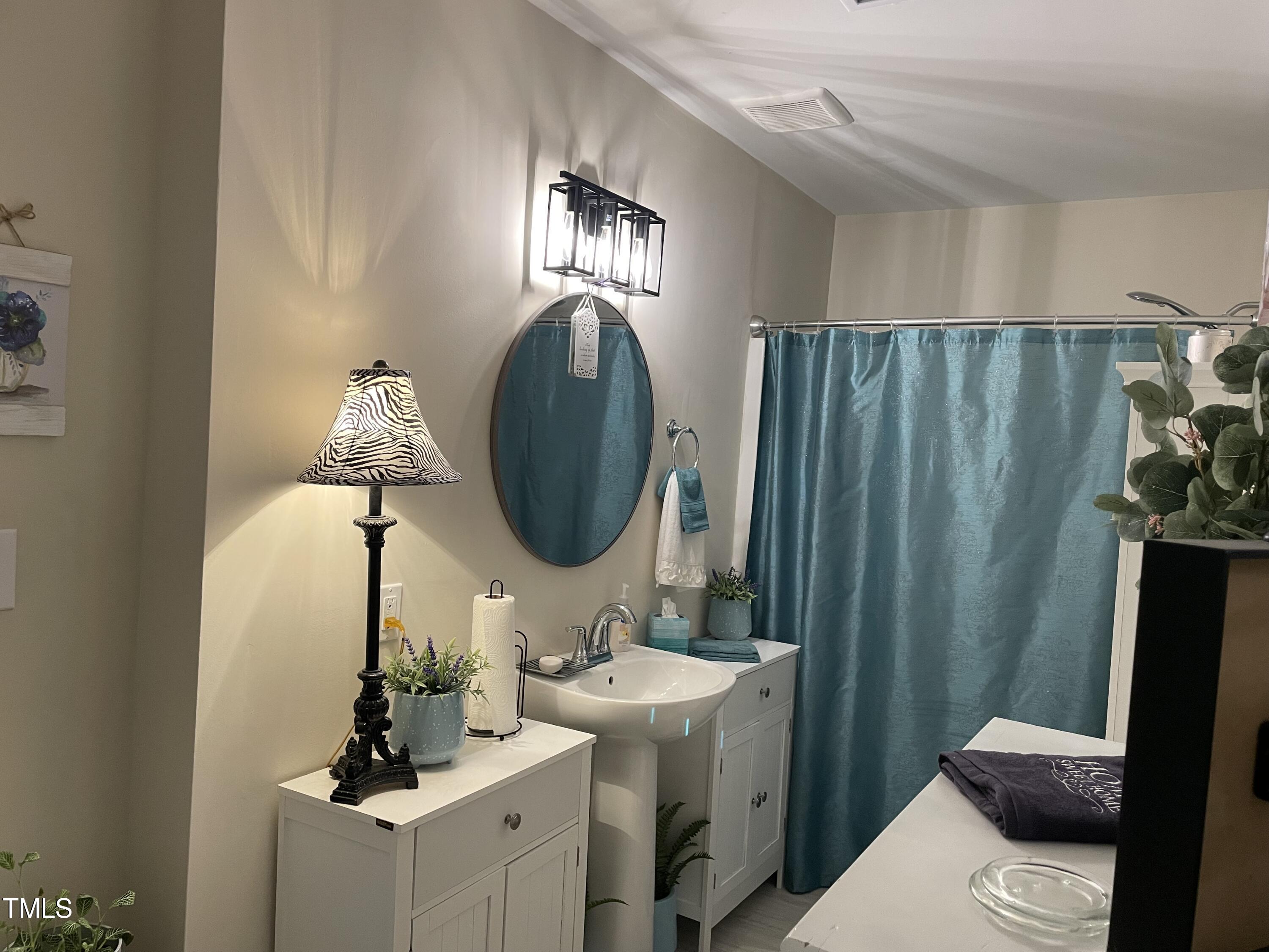 204 Jackson Street Dunn, NC 28334 - Photo 43 of 49 a bathroom with a sink and a mirror