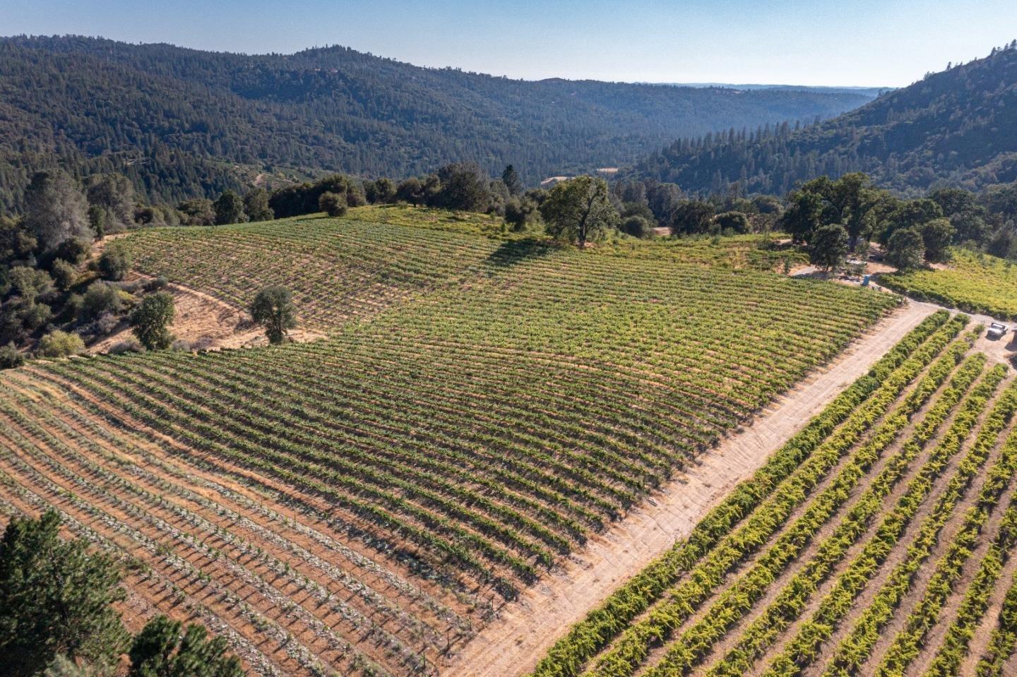 5200 Butte Creek Road Somerset, CA 95684 - Photo 14 of 30 Gallery Image 14