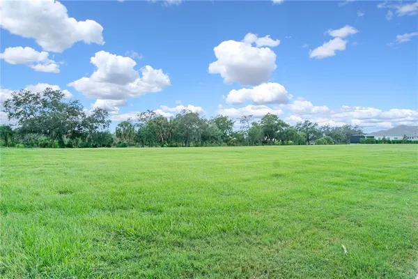 a view of a grassy field