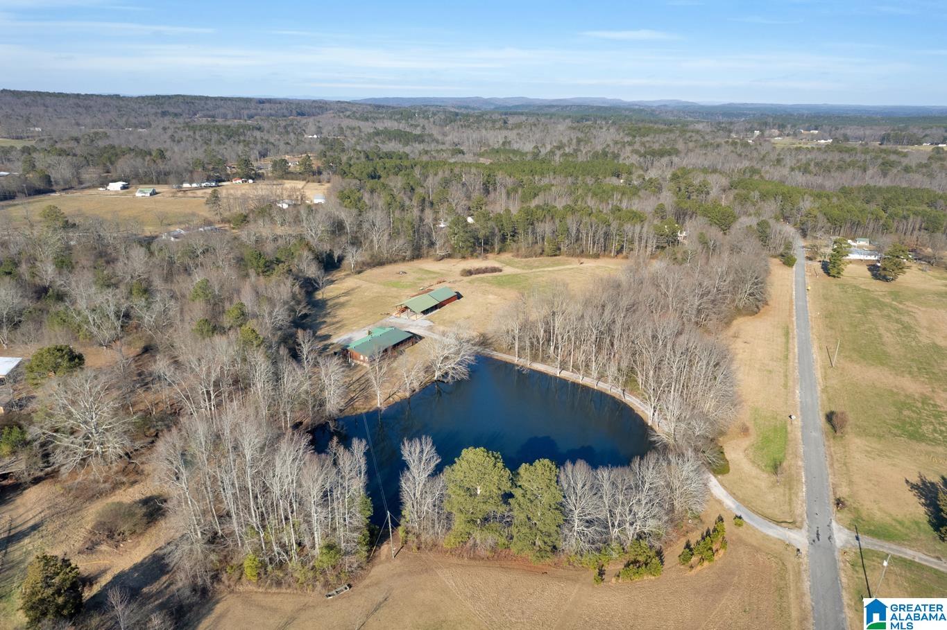 145 Fall Branch Road Remlap, AL 35133 - Photo 37 of 48