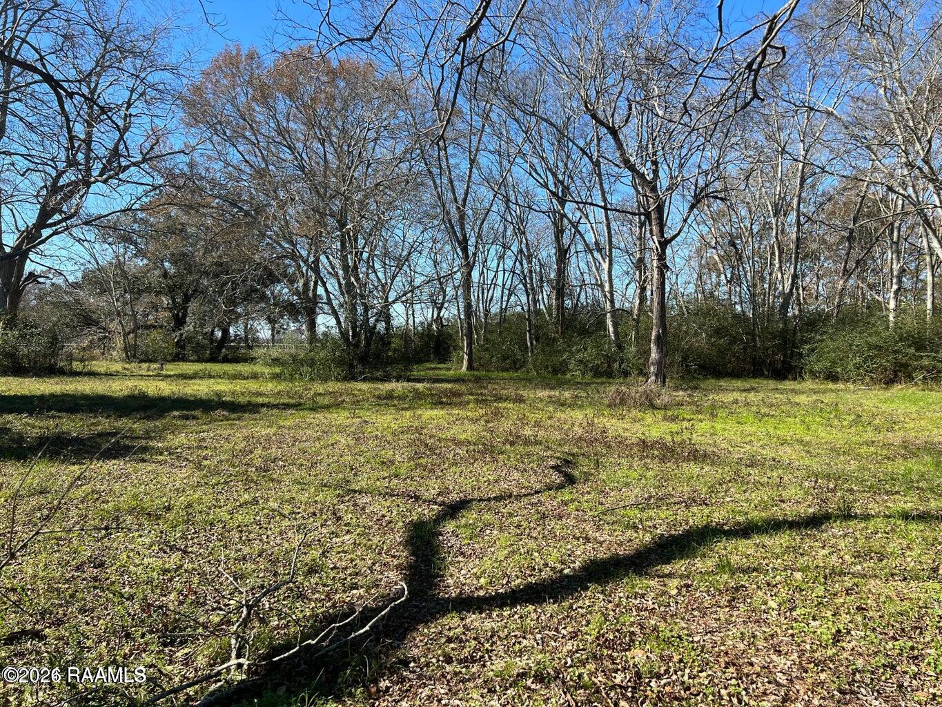 0 South Richfield Road Rayne, LA 70578 - Photo 3 of 5 20240514130449755242000000-o