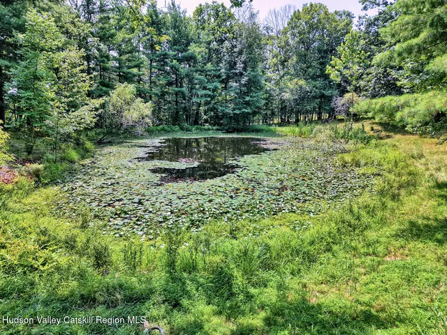 front view of a house with a tree