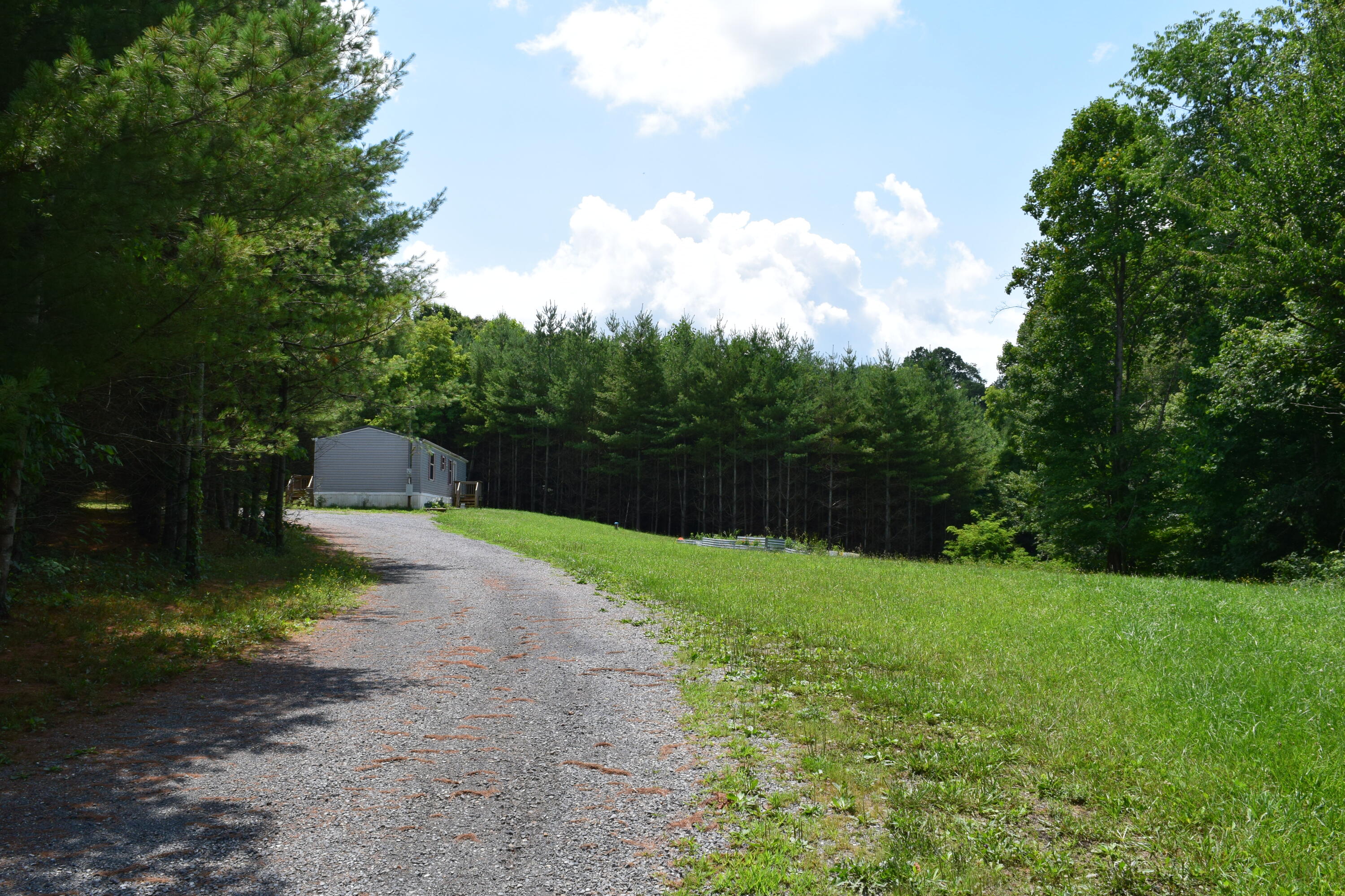 252 Reece Road Southwest Willis, VA 24380 - Photo 3 of 37 DSC_0089