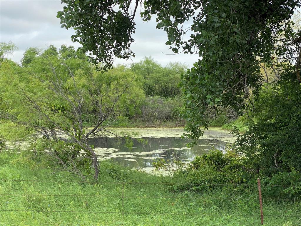 9701 Fm 569 Rising Star, TX 76471 - Photo 1 of 1 a view of a lake view with a garden