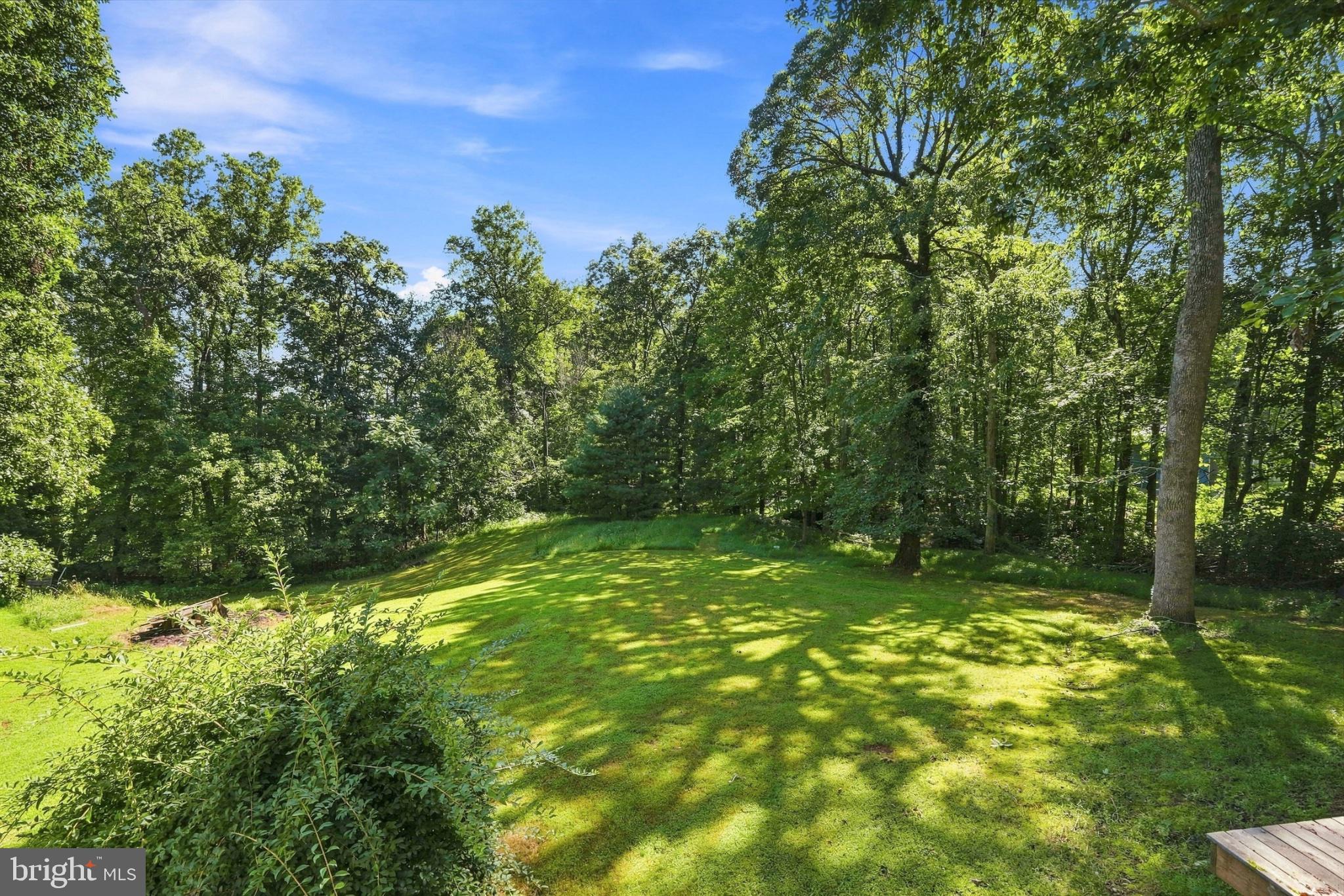 14105 Reva Road Boston, VA 22713 - Photo 28 of 38 Serene woodland retreat awaits you.