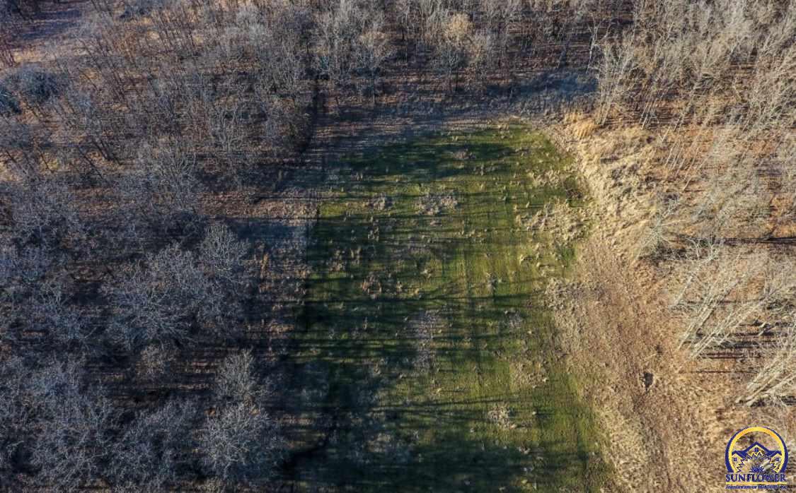 738 25th Road Toronto, KS 66777 - Photo 3 of 8
