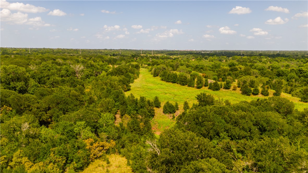 0 Leonard Road Bryan, TX 77807 - Photo 18 of 24 Drone / aerial view of a heavily wooded area