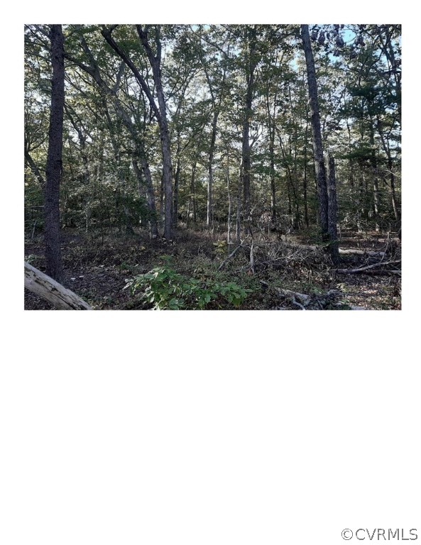 0 North Poor House Road Goochland, VA 23063 - Photo 1 of 1 Wooded lot