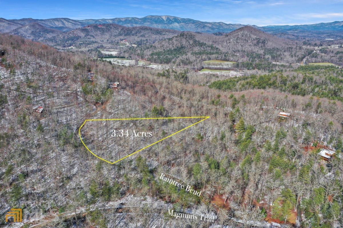 0 Lot 3 Raintree Bend Blue Ridge, GA 30513 - Photo 1 of 1 Gallery Image 1