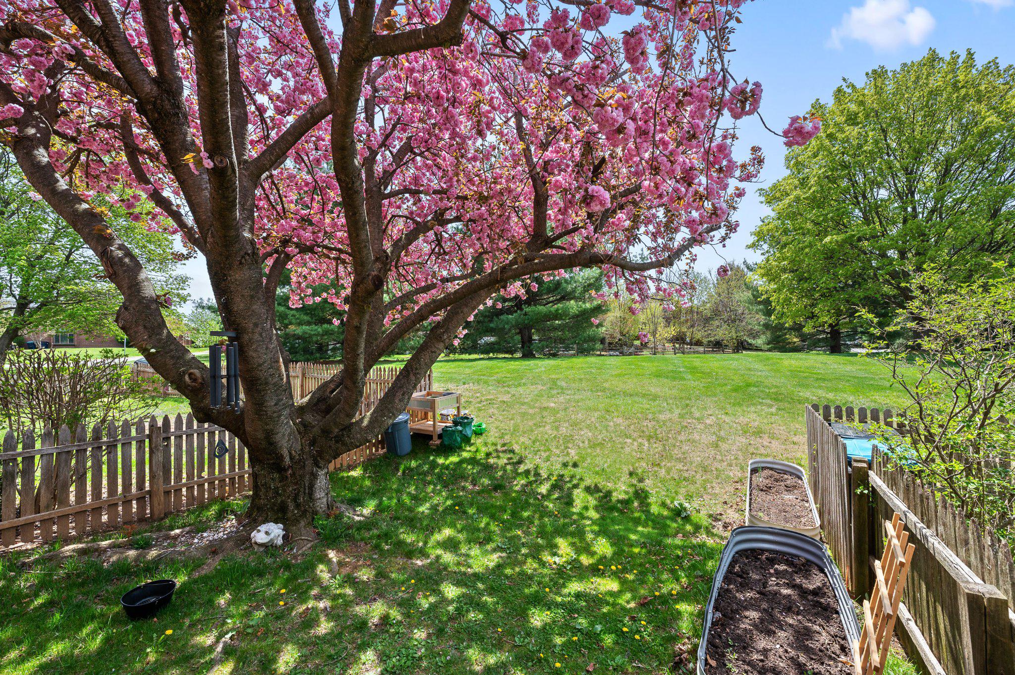 117 Talgrath Court Exton, PA 19341 - Photo 25 of 26 Rear Yard & Open Space