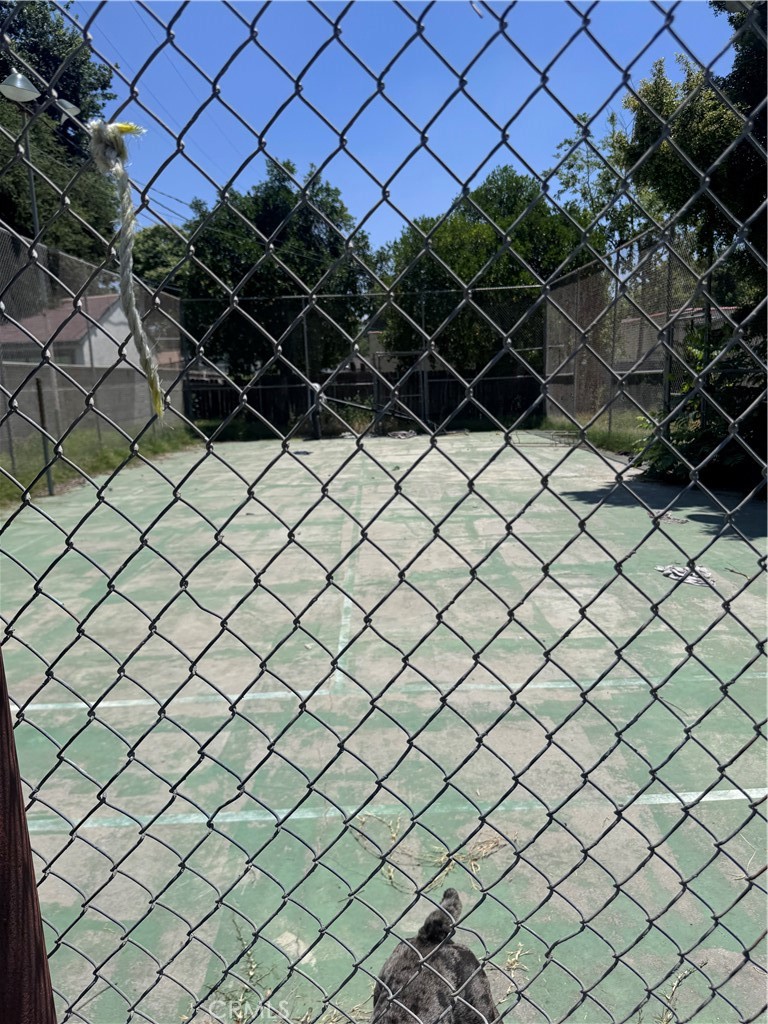 782 West Marshall Boulevard San Bernardino, CA 92405 - Photo 3 of 11 a close up of a plant