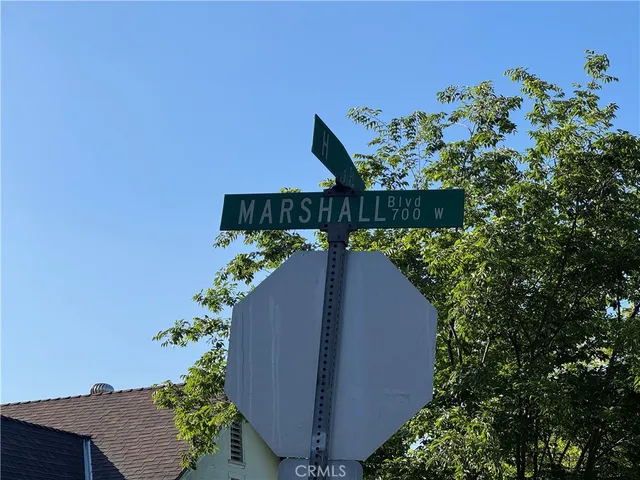 a view of a flower in a garden