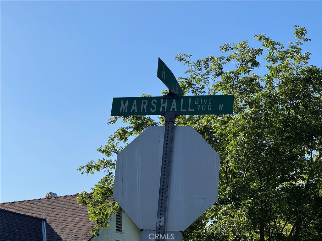 782 West Marshall Boulevard San Bernardino, CA 92405 - Photo 4 of 11 a view of a flower in a garden