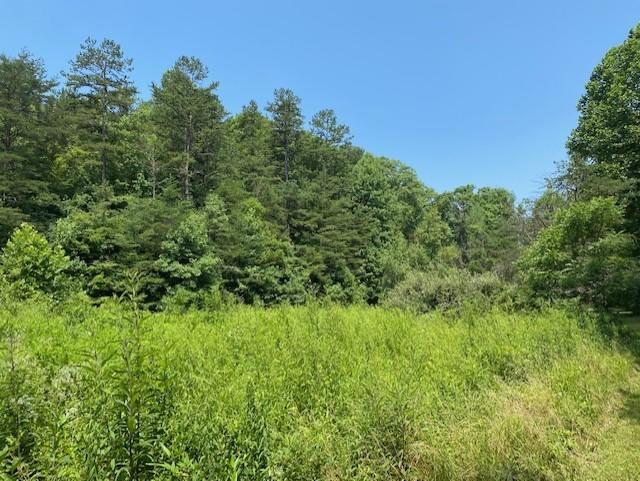 2389 Trace Branch Road Livingston, KY 40445 - Photo 22 of 23 22