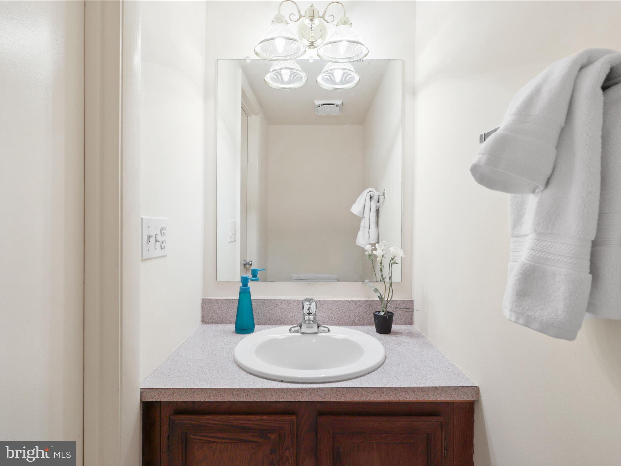 2030 Swans Neck Way Reston, VA 20191 - Photo 5 of 65 Powder Room