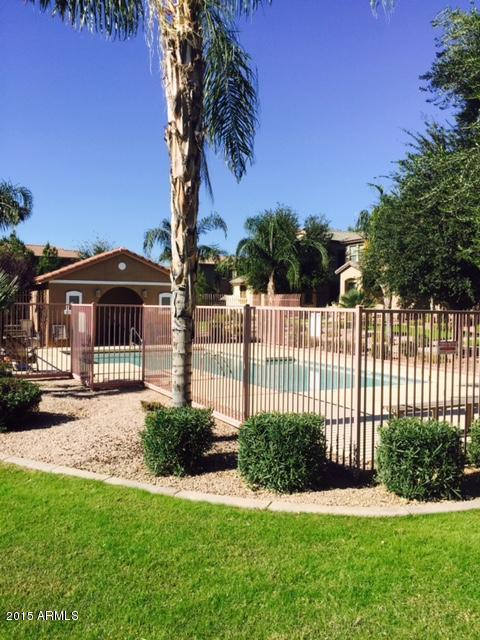 1907 East Del Rio Street Gilbert, AZ 85295 - Photo 5 of 13 FullSizeRender (5)