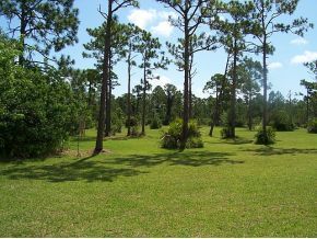 2845 Weber Road Malabar, FL 32950 - Photo 3 of 12 Additional Photo