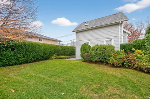 a view of a backyard with plants and a large tree