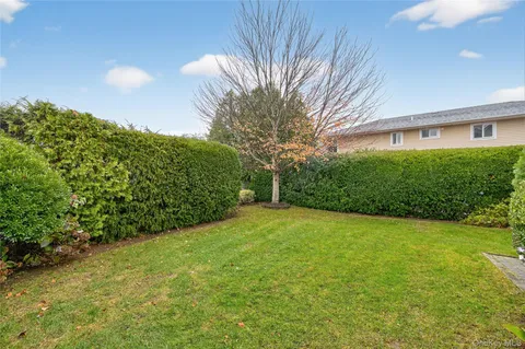 a view of a big yard with plants and a fountain