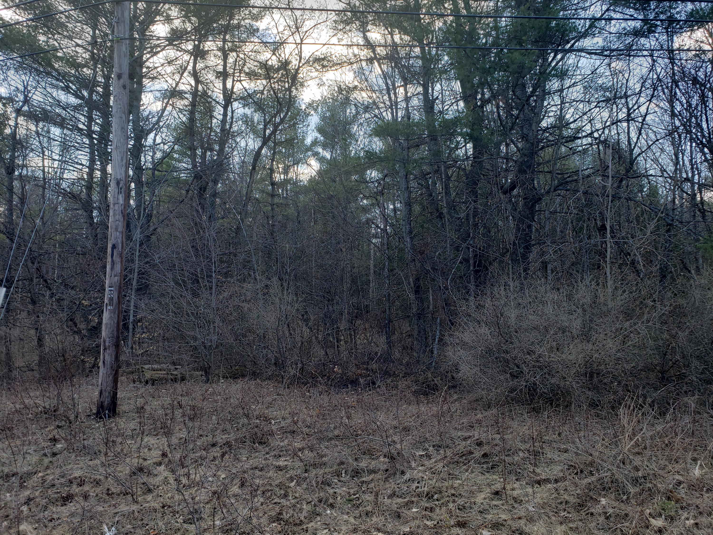 Lot 41-cdef Lot 41-cdef China Road Winslow, ME 04901 - Photo 9 of 17 41-D 4
