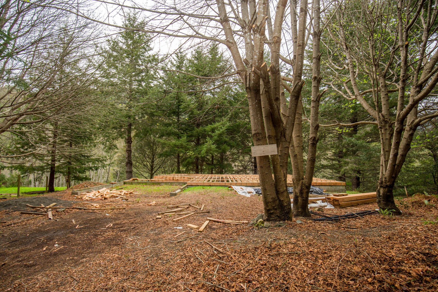 515 Beach Road Shelter Cove, CA 95589 - Photo 28 of 31