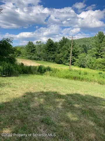 a view of a garden from a yard