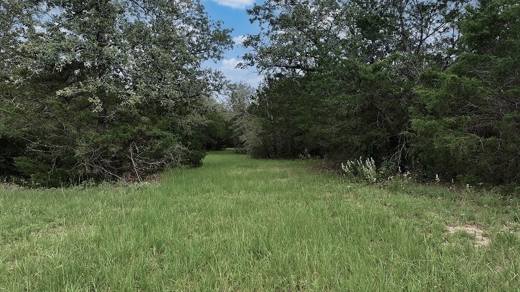 2625 Burke Road Flatonia, TX 78941 - Photo 14 of 19