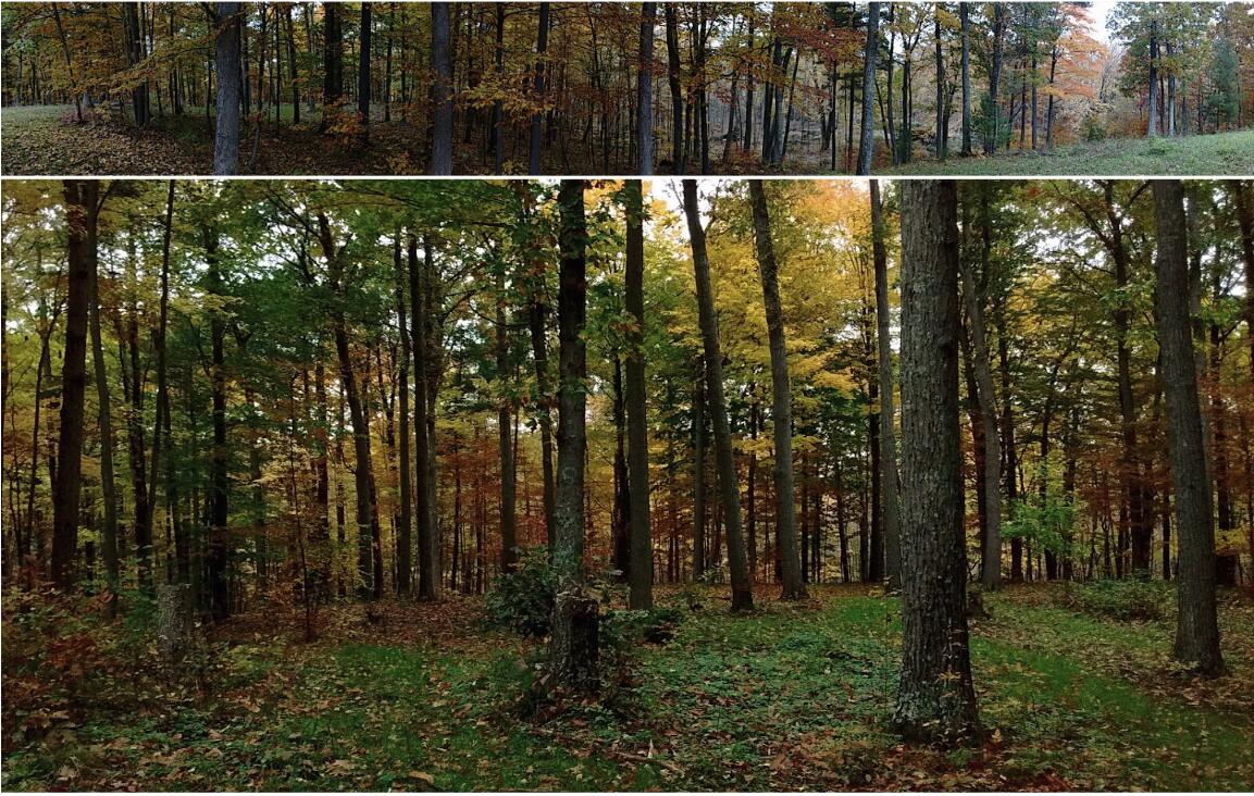 1147 Stakes Road Gowen, MI 49326 - Photo 103 of 105 Screenshot 2023-07-20 at 1.20.50 PM