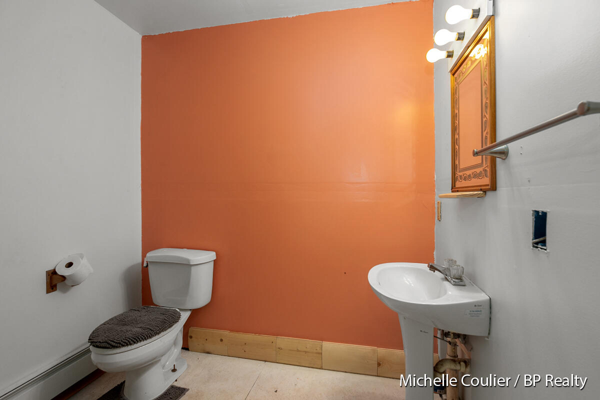 1147 Stakes Road Gowen, MI 49326 - Photo 48 of 105 bathroom in basement