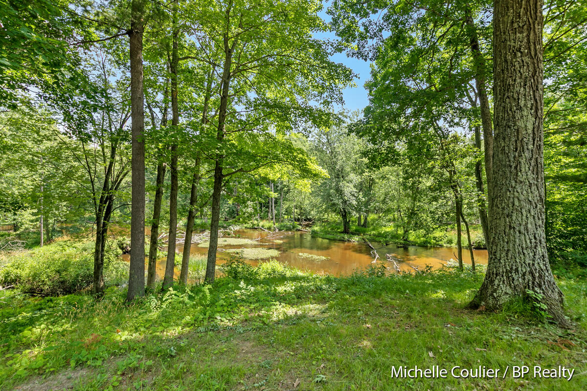 1147 Stakes Road Gowen, MI 49326 - Photo 69 of 105 IMG_1063